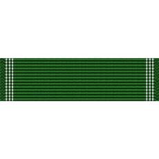 Hawaii National Guard Distinguished Service Order Ribbon